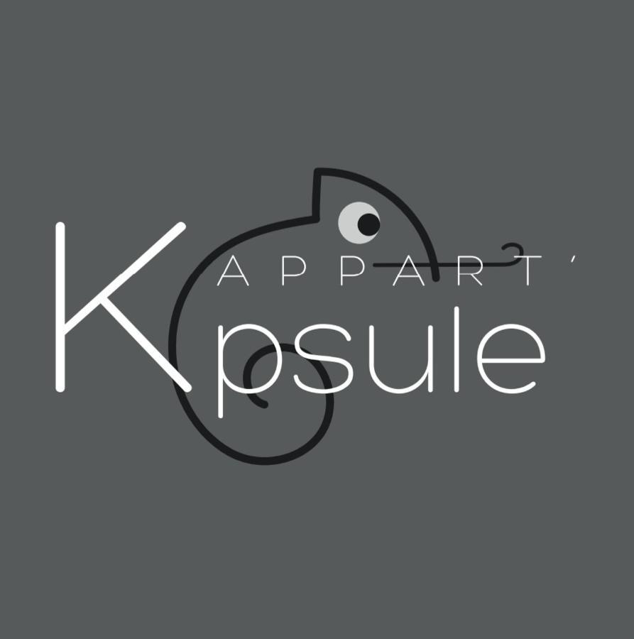 L'Appart K-Psule - Design, Tout Confort, Centre-Ville, 3 Pers 勒芒 外观 照片